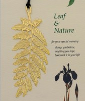 L-3田園之洋槐金葉