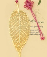 L-11田園之黃金葉脈（狹長）